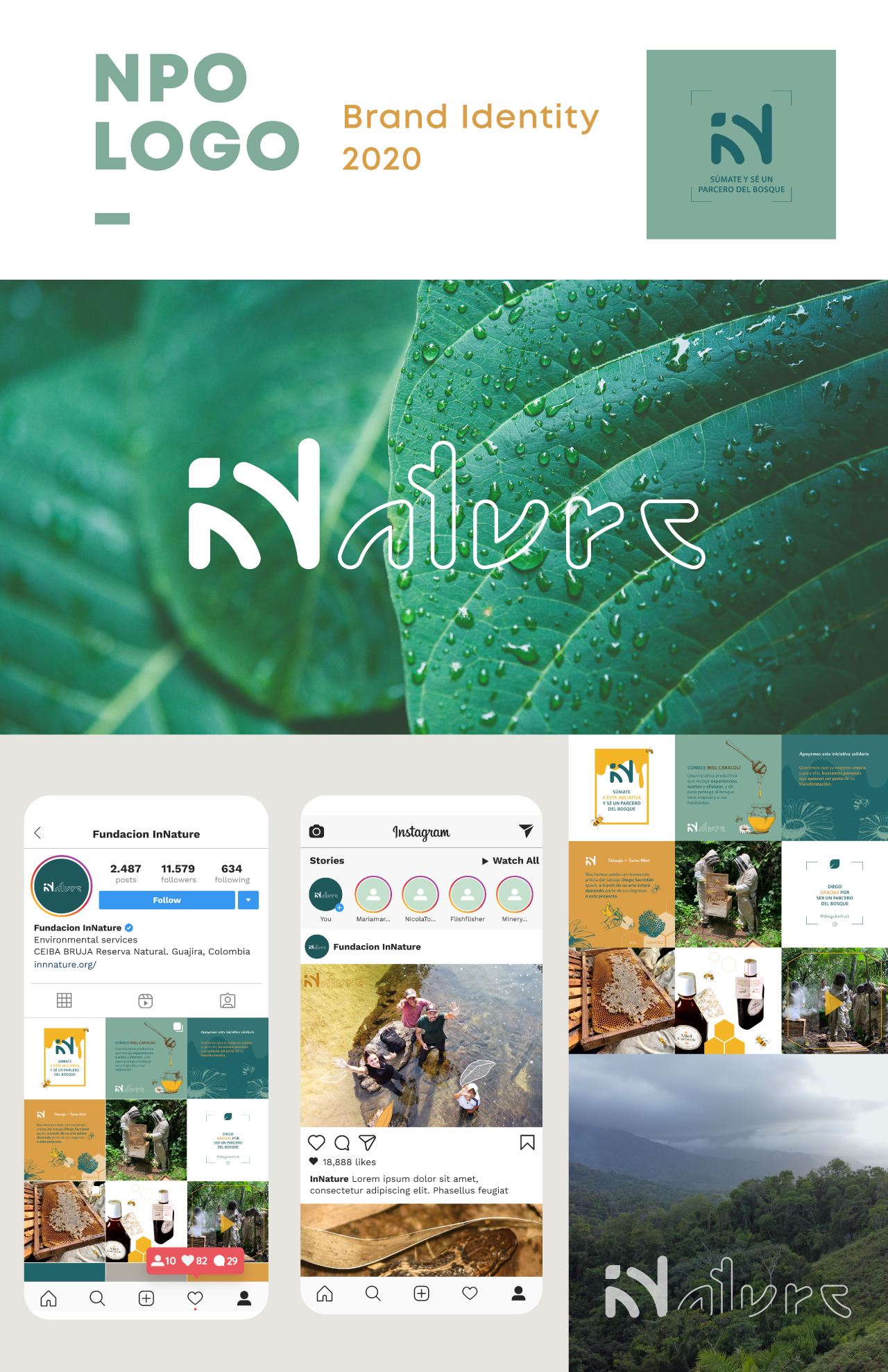 Innature Foundation branding board