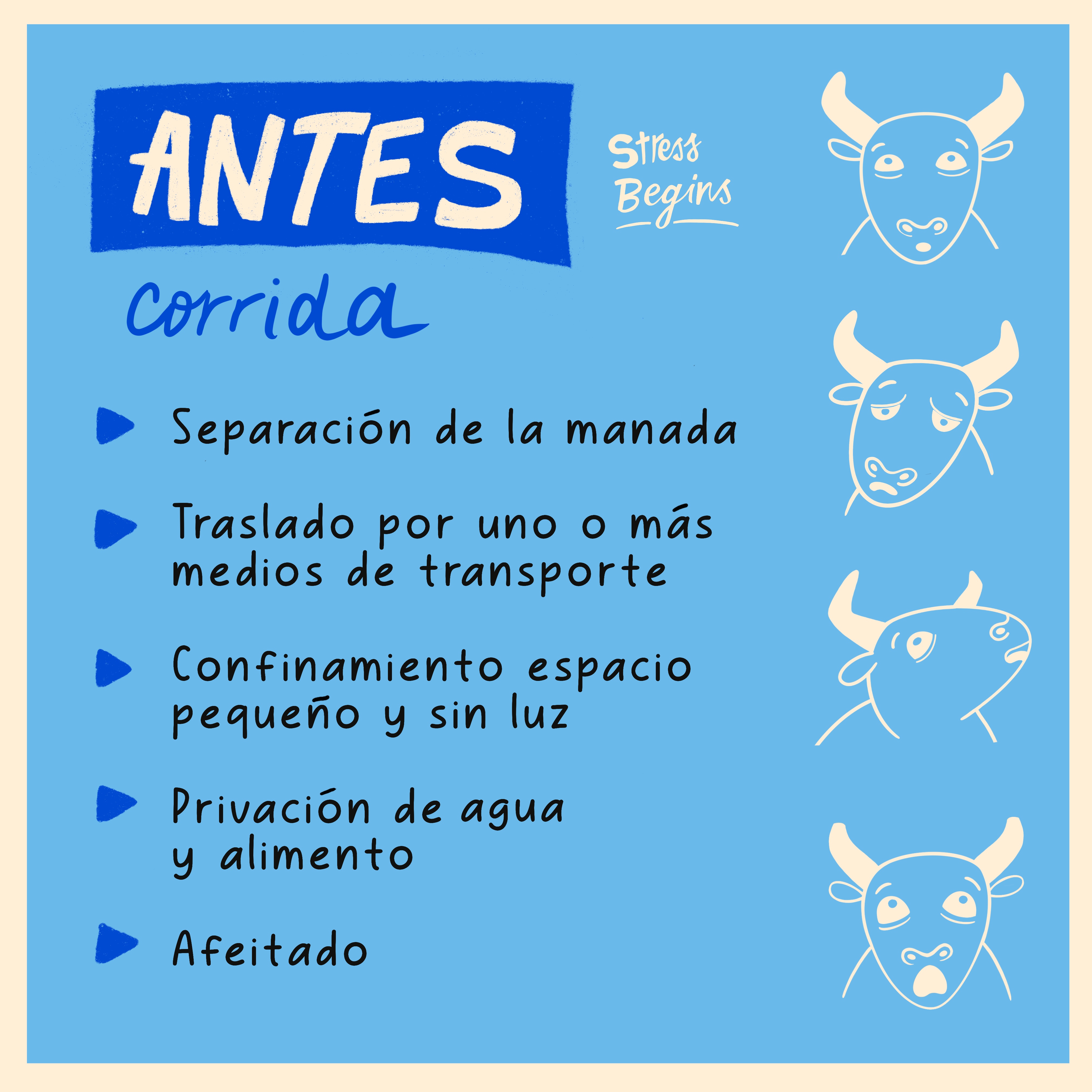 ToroTortura - Image 2